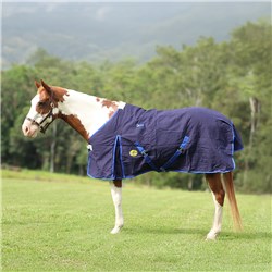 RUG2800 BLBL